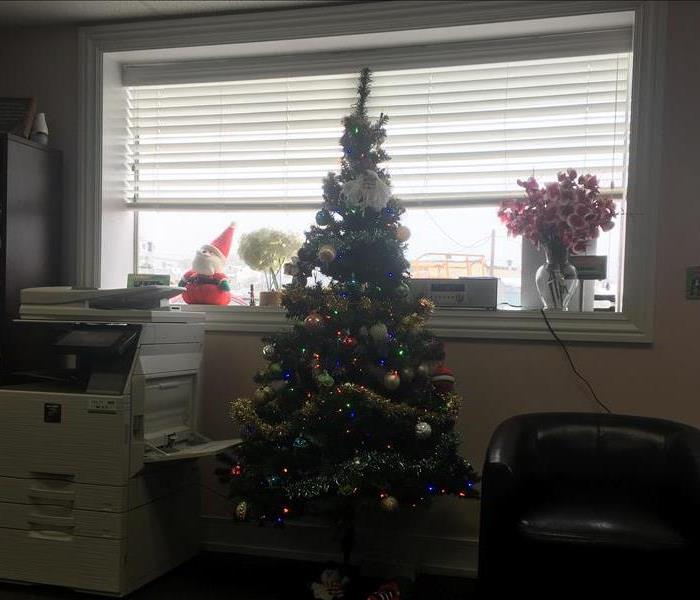 Photo of Christmas Tree in our office