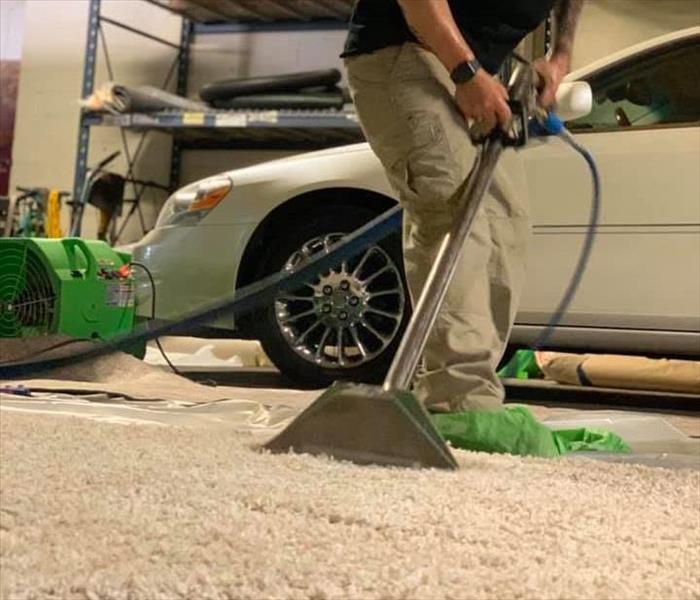 One of our technicans cleaning a carpet 